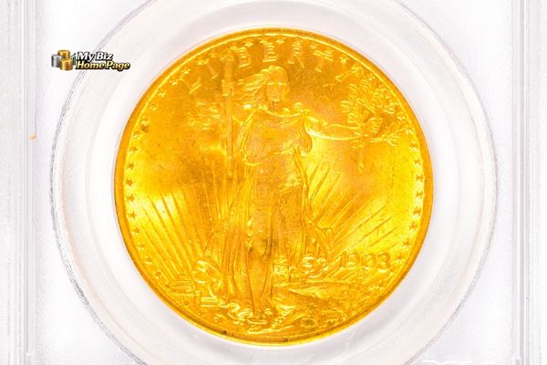 The Importance of Coin Grading and Certification - 1903 Standing Liberty Coin - My Biz Home Page